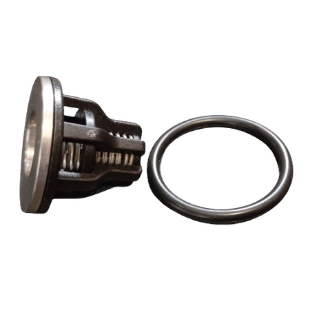 Zaworek pompy UDOR 1702