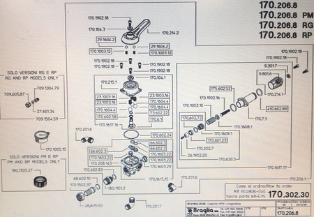 Zawór sterujący sadowniczy Braglia z manometrem