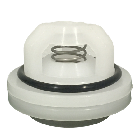 Zaworek pompy P-100 Pilmet