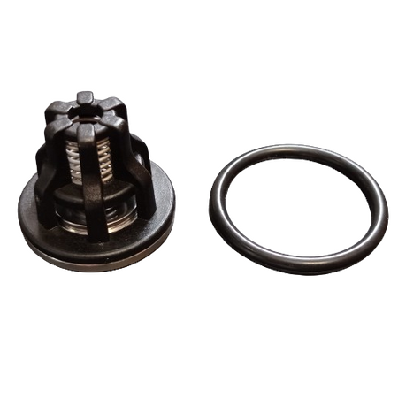 Zaworek pompy UDOR 1702