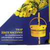Żółte naczynie TRAP do rzepaku