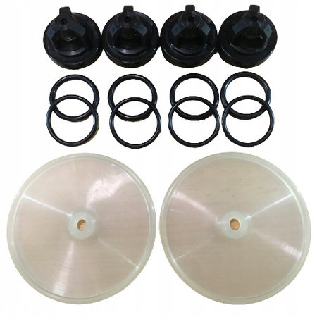 Zestaw naprawczy pompy P-120 Biardzki