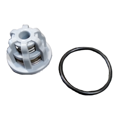 Zaworek pompy UDOR 1709