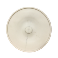 Membrana pompy opryskiwacza Rau 100