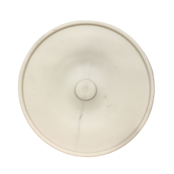 Membrana pompy opryskiwacza Rau 100